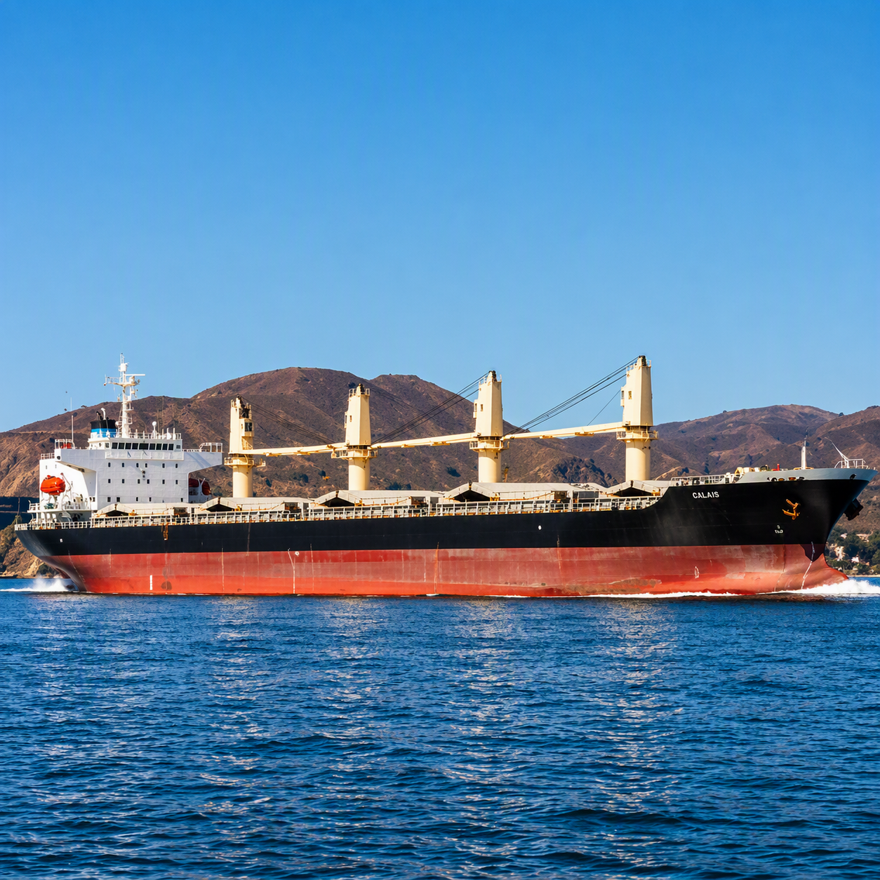 M/V CALLIO bulk carrier vessel