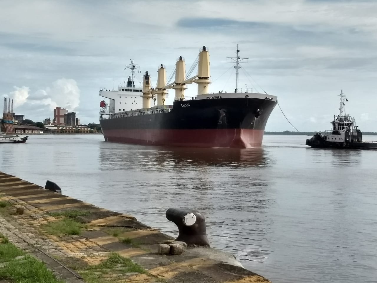 M/V CALLIO bulk carrier vessel